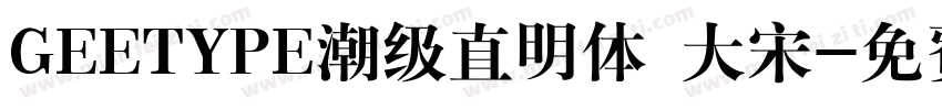 GEETYPE潮级直明体 大宋字体转换